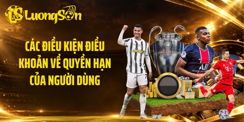 Các điều kiện điều khoản về quyền hạn của người dùng