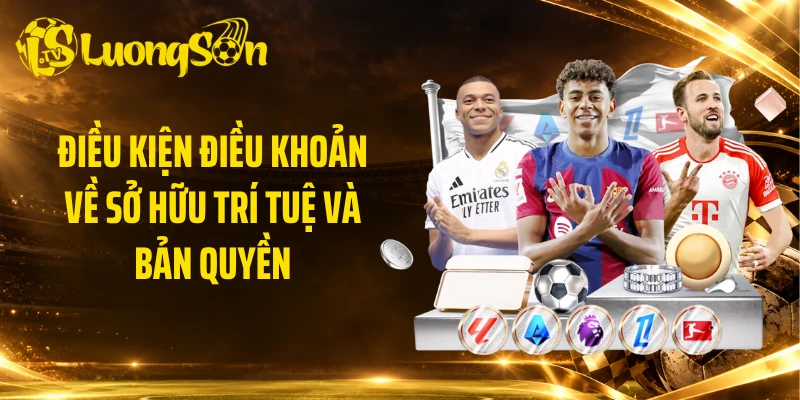 Điều kiện điều khoản về sở hữu trí tuệ và bản quyền