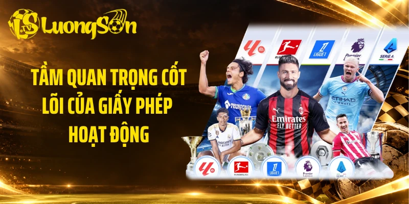 Tầm quan trọng cốt lõi của giấy phép hoạt động